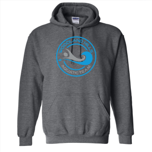 Gildan Heavy Blend Hooded Sweatshirt -- Dark Heather