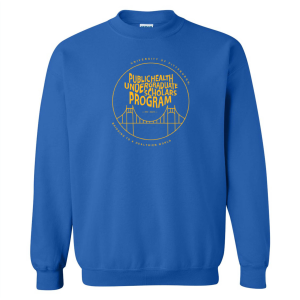 Gildan Heavy Blend Crew Neck Sweatshirt -- Royal