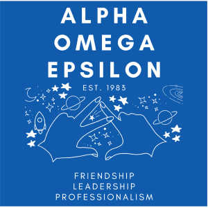 Ladies Gildan Ladies Fashion Fit T-Shirt -- Royal