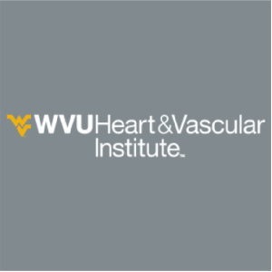 Ladies Port Authority Ladies Summit Fleece Full Zip Jacket -- Frost Grey / Magnet