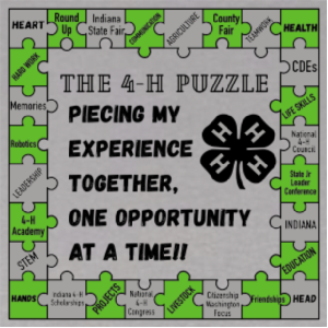 Building Memories that Last a Lifetime with 4-H Tee