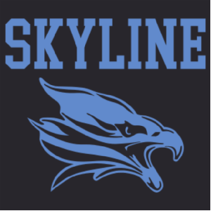 Hit Promo 20 oz. Vacuum Sealed Himalayan Tumbler -- Navy Blue