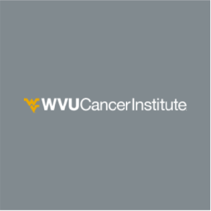 Ladies Port Authority Summit Fleece Full Zip Jacket -- Frost Grey / Magnet