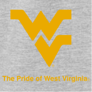 Men/Unisex Gildan Heavy Blend Crew Neck Sweatshirt -- Sport Grey