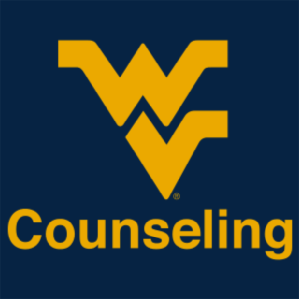 Ladies Sport Tek - Ladies Dri-Mesh V-Neck Sport Shirt -- Navy