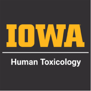 Men/Unisex Gildan Heavy Blend Crew Neck Sweatshirt -- Black