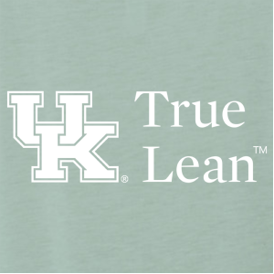 Ladies Port Authority Ladies Concept 3/4 Sleeve Soft Split Neck Top -- Dusty Blue