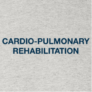 Ladies Gildan Heavy Cotton Missy Fit Tee -- Ash