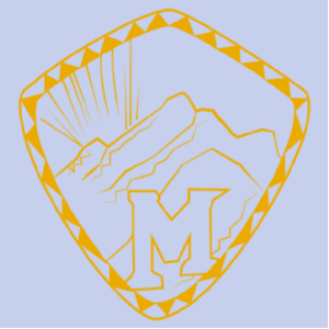 Ladies Port Authority Ladies Crosshatch Easy Care shirt -- Chambray Blue