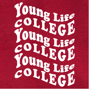 Gildan Antique Cherry Red Heavy Blend Hooded Sweatshirt