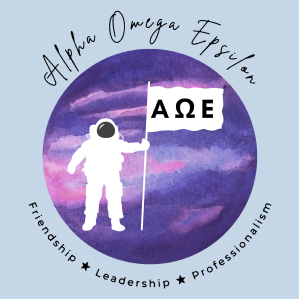 Ladies Gildan Ladies Fashion Fit T-Shirt -- Light Blue