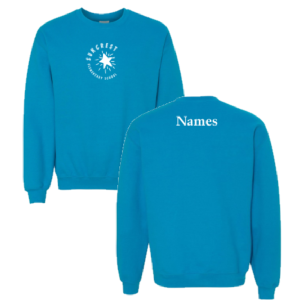 Men/Unisex Gildan Heavy Blend Crew Neck Sweatshirt -- Sapphire