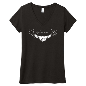 Ladies District Made Ladies Perfect Tri V-Neck Tee -- Black