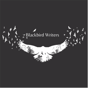 Ladies District Made Ladies Perfect Tri V-Neck Tee -- Black