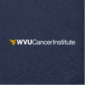 Ladies Charles River Womens Heathered Fleece Pullover -- Navy Heather