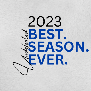 Ladies Next Level Apparel Tri Blend Crew -- Heather White