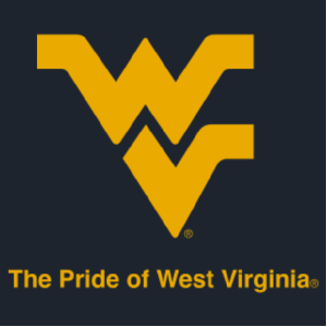 Men/Unisex Gildan Heavy Blend Crew Neck Sweatshirt -- Navy