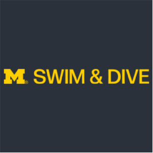 Ladies District Made Soft Perfect Weight V-Neck Tee -- New Navy