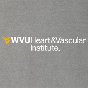 Ladies Port Authority Ladies Digi Stripe Fleece Jacket -- Grey