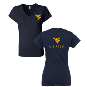 Ladies Cotton Heritage Women's V-Neck T-Shirt -- Navy Blazer