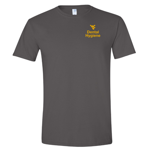 Gildan SoftStyle Fitted T-Shirt -- Charcoal