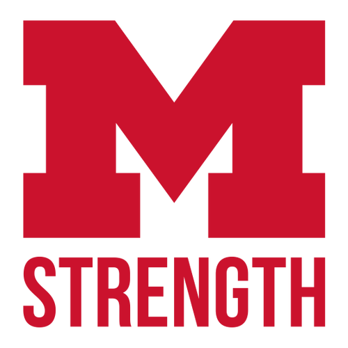 Gildan SoftStyle Fitted T-Shirt -- White