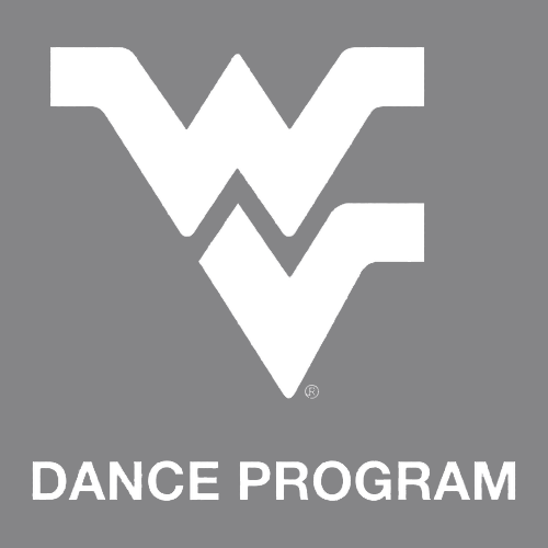 Gildan SoftStyle Fitted T-Shirt -- Graphite Heather