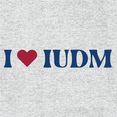 Cotton Hooded Sweatshirt -- Ash