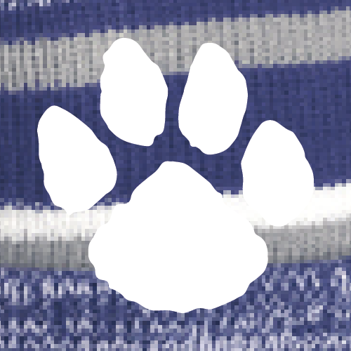 New Era Sideline Beanie