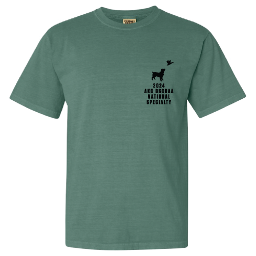 Comfort Colors Ringspun Garment Dyed T Shirt -- Light Green