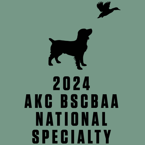 Comfort Colors Ringspun Garment Dyed T Shirt -- Light Green