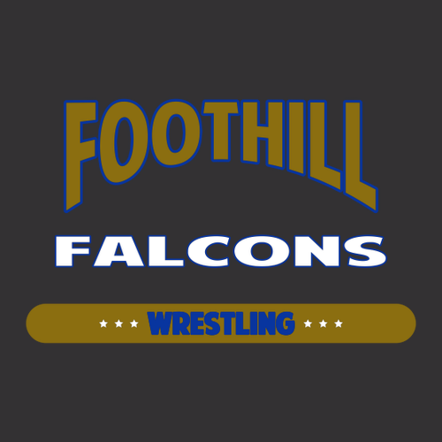 Gildan Ultra Cotton Longsleeve Basic T-Shirt -- Black