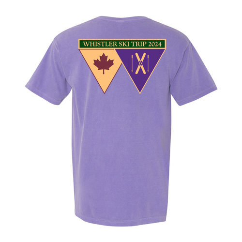 Comfort Colors Ringspun Garment Dyed T Shirt -- Violet