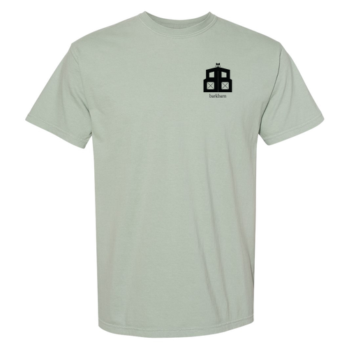 Comfort Colors Ringspun Garment Dyed T Shirt -- Bay