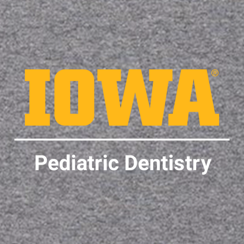 Gildan Heavy Blend Hooded Sweatshirt -- Graphite Heather