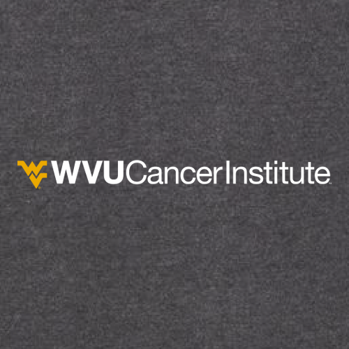 Charles River Womens Heathered Fleece Pullover -- Charcoal Heather