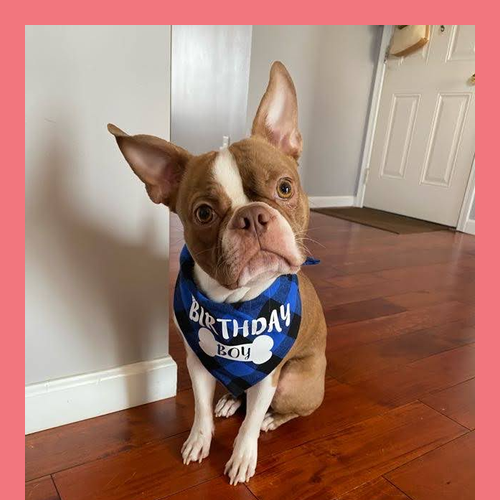 Gildan Heavy Cotton Basic Youth T-Shirt -- Coral Silk