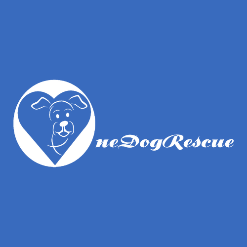 Gildan Heavy Cotton Longsleeve Basic T-Shirt -- Royal