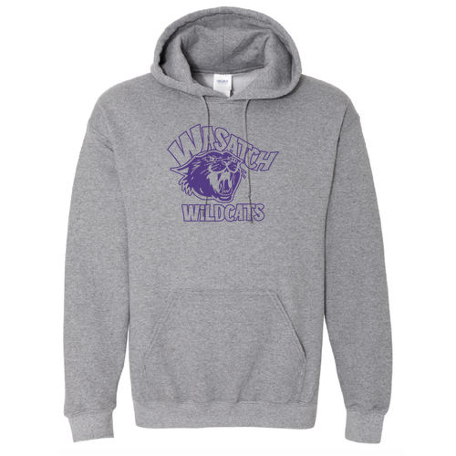 Gildan Heavy Blend Hooded Sweatshirt -- Graphite Heather