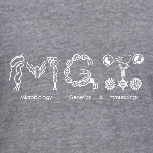 Next Level Unisex Tri-Blend 3/4 Sleeve Raglan -- Premium Heather / Vintage Black