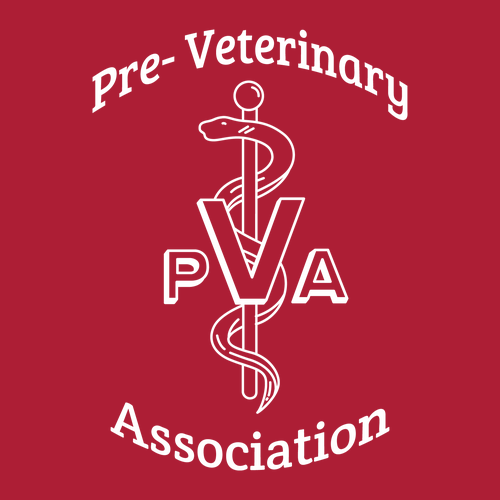 Gildan Heavy Blend Hooded Sweatshirt -- Cherry Red