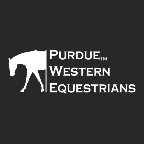 Independent Trading Co. Women's lightweight California Wave Wash Sweatshorts -- Black