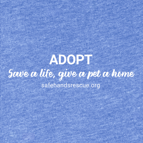 District Women's Perfect Tri-Fleece 1/2-Zip Pullover -- Royal Frost