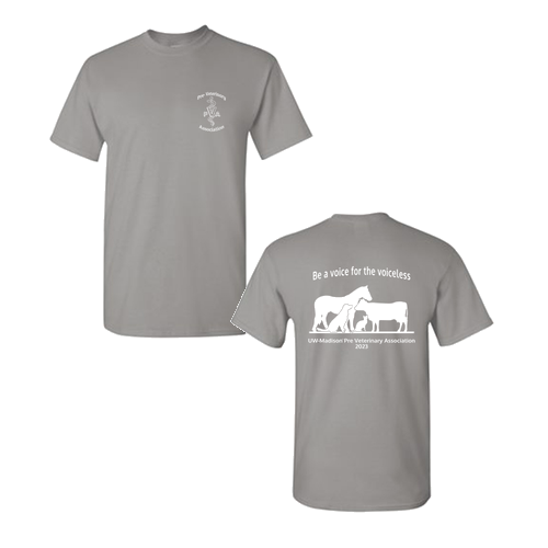 Gildan Heavy Cotton Basic T-Shirt -- Gravel