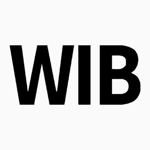 Gildan Heavy Cotton Longsleeve Basic T-Shirt -- White