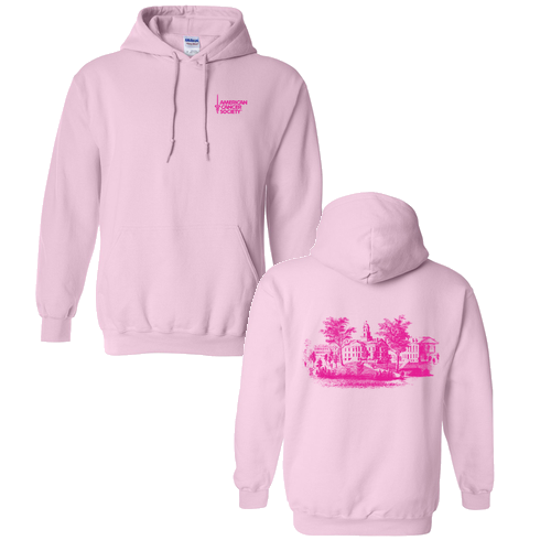 Gildan Heavy Blend Hooded Sweatshirt -- Light Pink