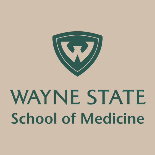 Gildan Heavy Blend Hooded Sweatshirt -- Sand