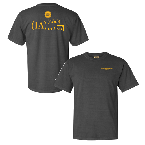 Comfort Colors Ringspun Garment Dyed T Shirt -- Pepper