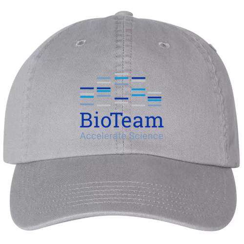 Champion Washed-Twill Dad Hat -- Medium Grey Concrete