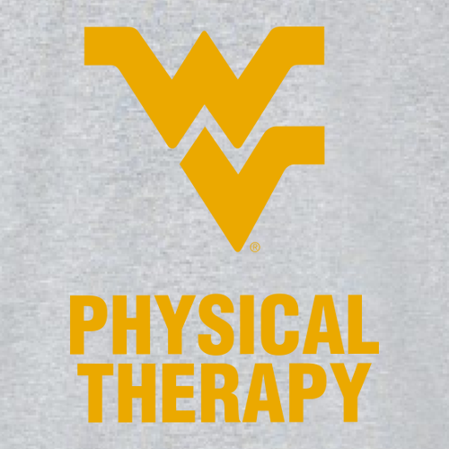 Gildan Heavy Blend Hooded Sweatshirt -- Sport Grey